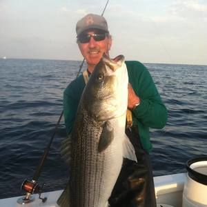 Meet your Posher, Bob